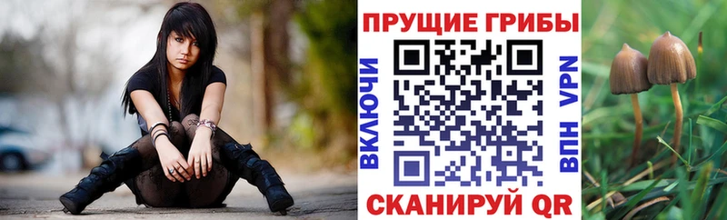 Галлюциногенные грибы прущие грибы  это формула  Шумерля 