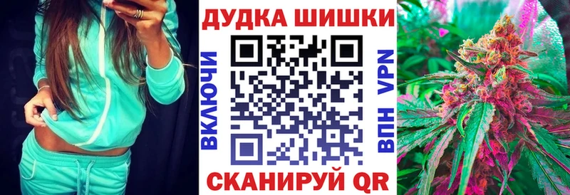 Бошки Шишки планчик  Шумерля 